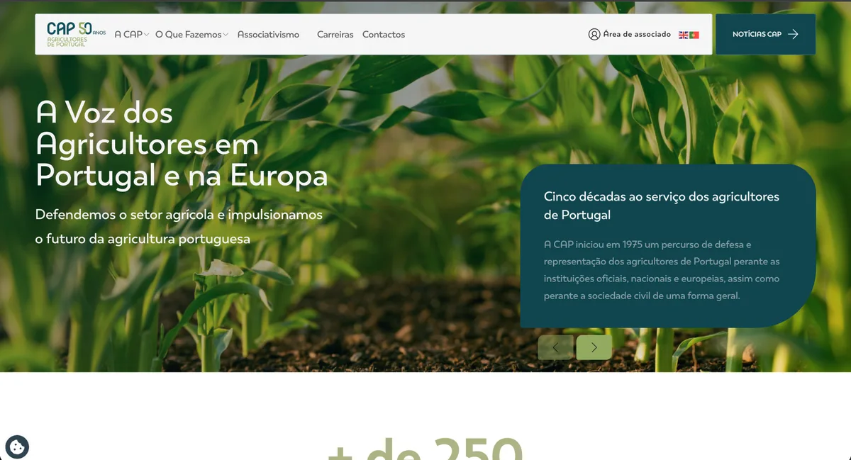 CAP institutional website screenshot